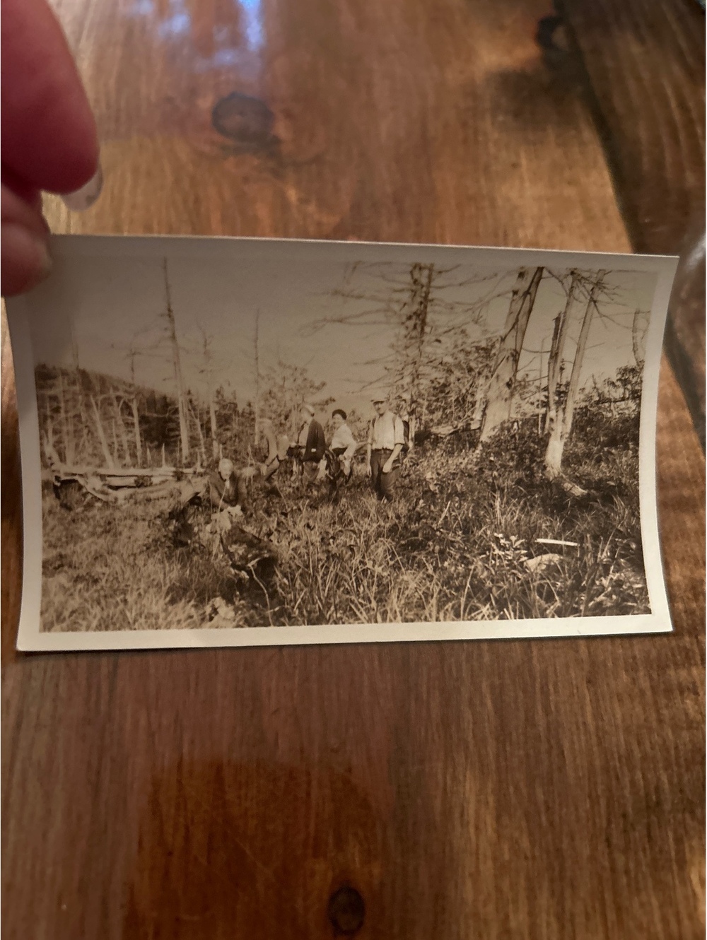 Picture ephemera - Picture 2 of 5